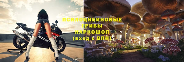 крисы Алексеевка