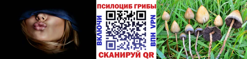 Галлюциногенные грибы ЛСД  Могоча 