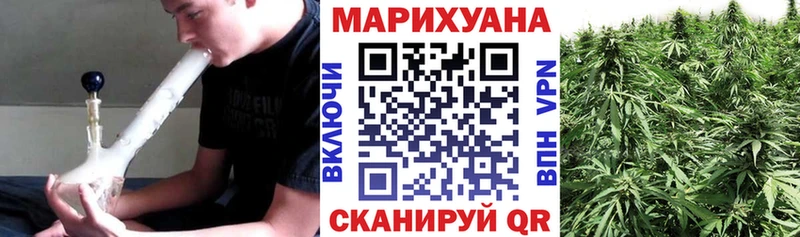 Каннабис план  Могоча 